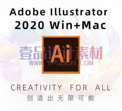 Adobe Illustrator 2020 Win&Mac
