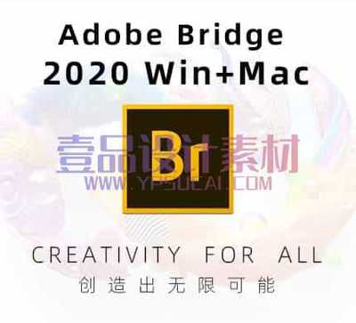 Bridge 2020 Win&Mac