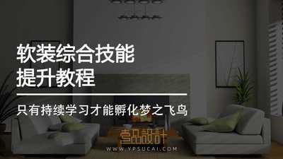 软装综合技能提升教程
