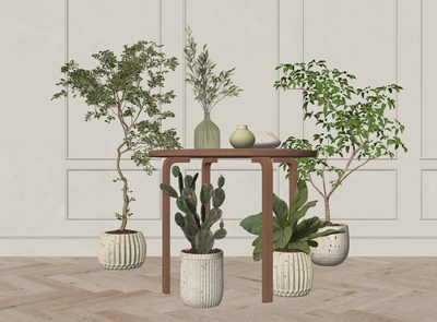 绿植盆栽植物组合