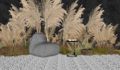 芦苇麦穗狼尾草植物组合SU模型